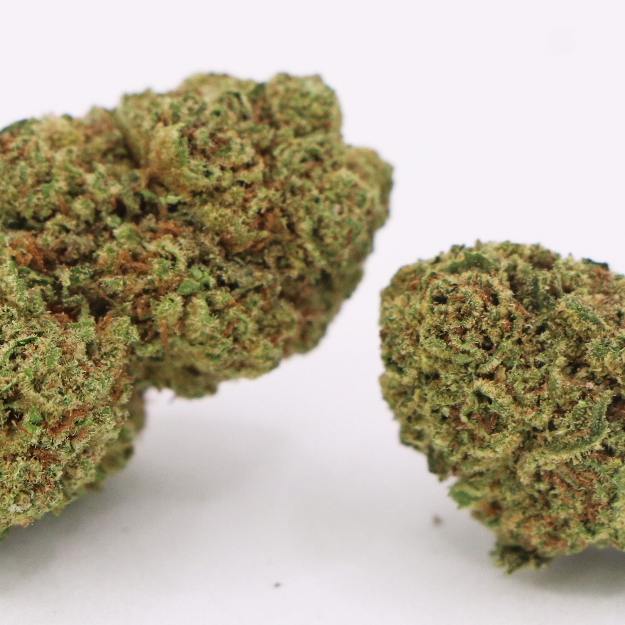 Pineapple-Kingpin2